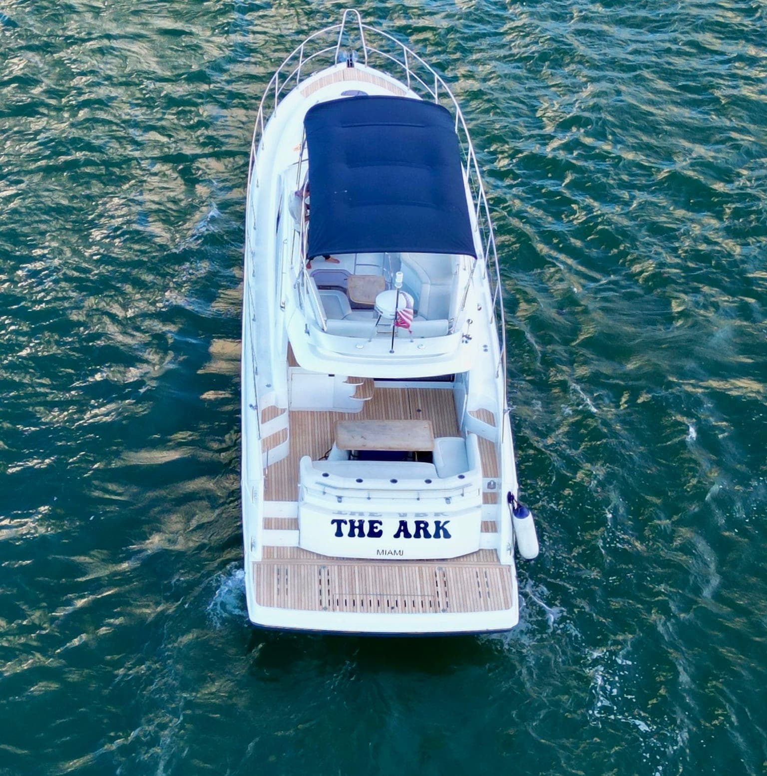 The Ark photo 2